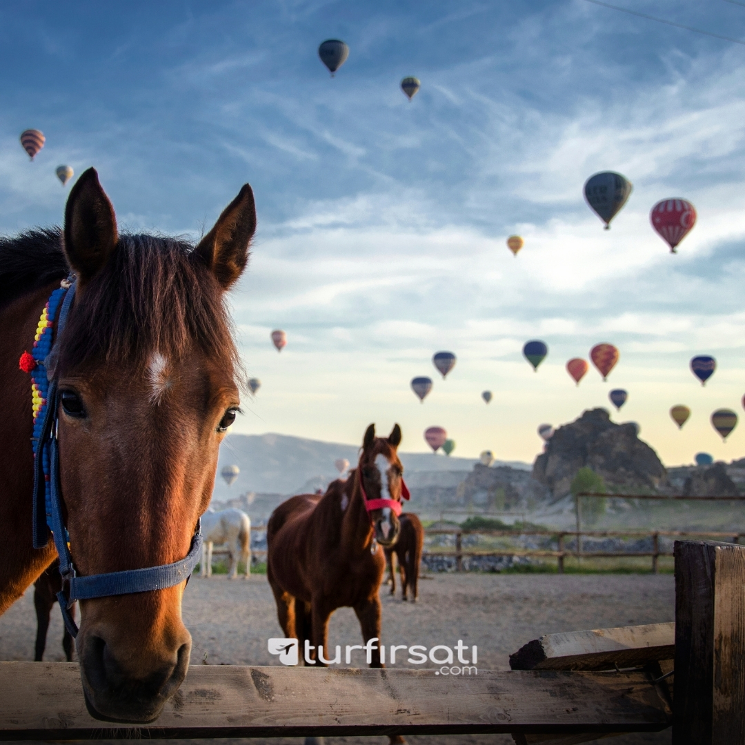 Kapadokya Ve Peri Bacaları Turu | 1 Gece Konaklamalı | İstanbul, Kocaeli ve Sakarya Hareketli
