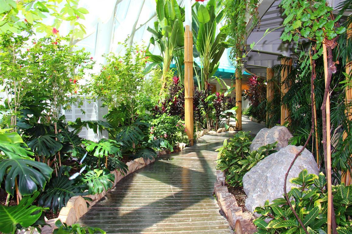 Şeb-İ Arus Özel | Konya -  Kapadokya Ve Hacı Bektaş Turu |1 Gece Konaklamalı | İstanbul Hareketli