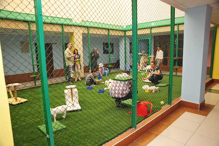 Ankara Çıkışlı Uçaklı Doğu Ekspresi Butik Kars Erzurum Turu (Uçak Gidiş Dönüş)