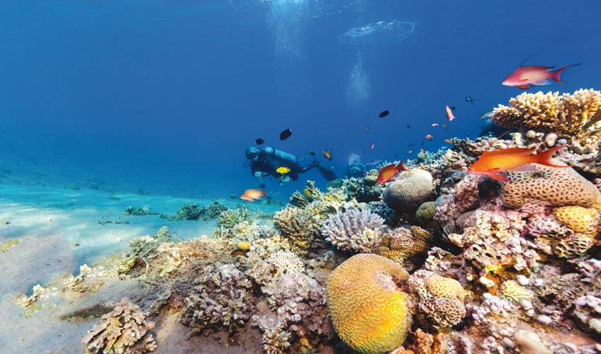  Vizesiz Sharm El Sheikh Turu 10 Gece  11 Gün 