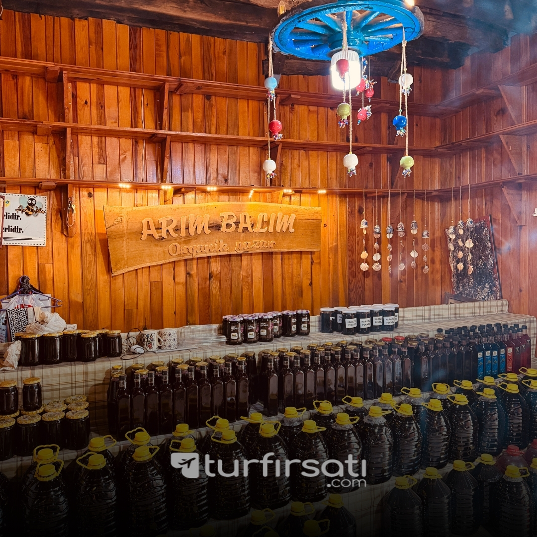 Günübirlik Cumalıkızık Uludağ  Turu | İstanbul Hareketli 