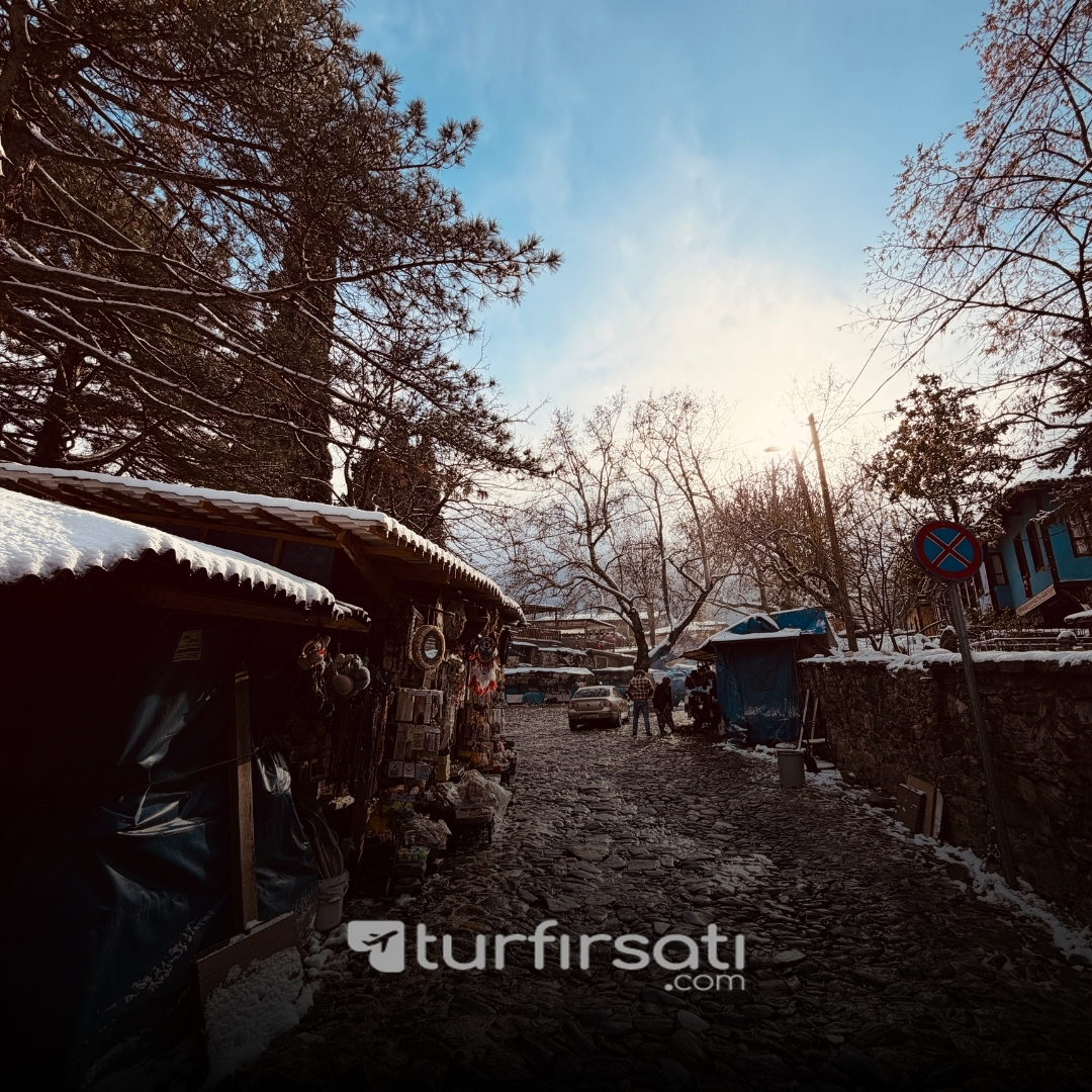 Günübirlik Cumalıkızık Uludağ  Turu | İstanbul Hareketli 