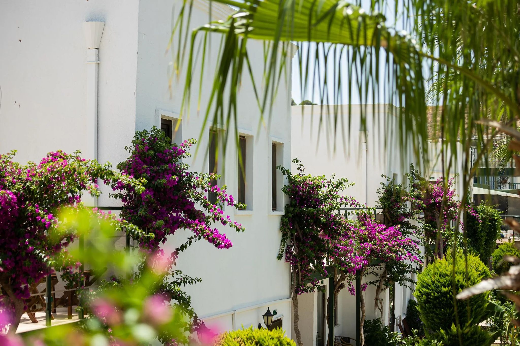 Anadolu Hotel Gümbet Bodrum | 4 Gece Konaklamalı | İstanbul , İzmit, Bursa Ve İzmir Hareketli