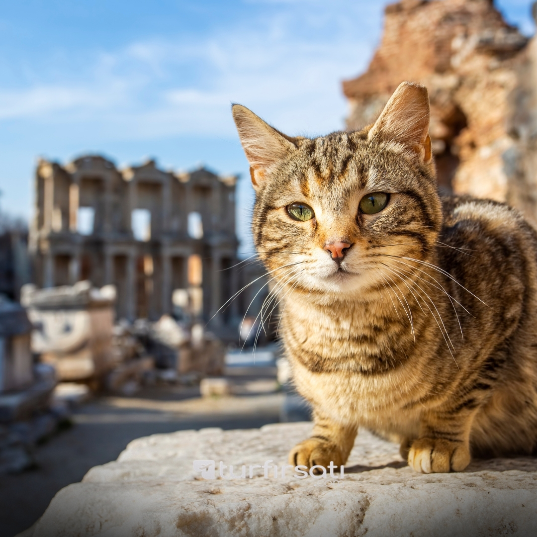 23 Nisan Özel | İzmir Çeşme Alaçatı Kuşadası Şirince Efes Turu |1 Gece Otel Konaklamalı