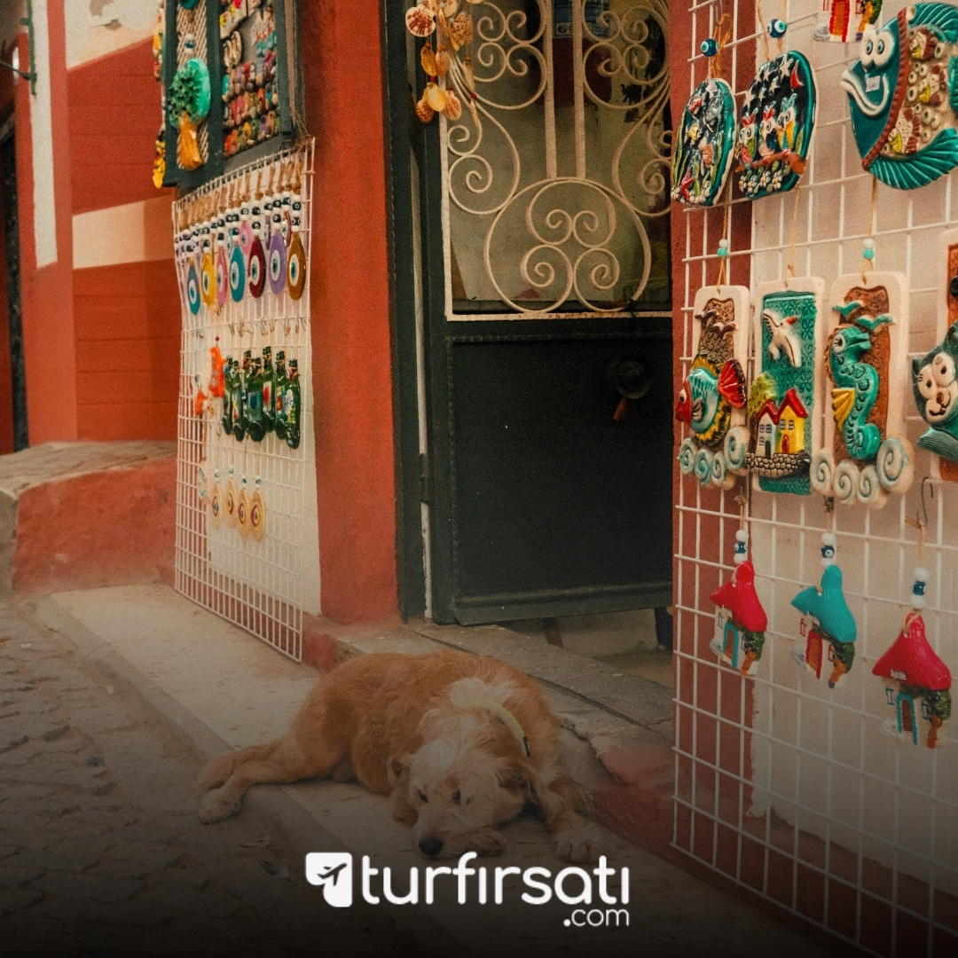 1 Mayıs Özel | Bozcaada Assos Ayvalık Cunda Turu | 1 Gece Otel Konaklamalı | İstanbul Hareketli