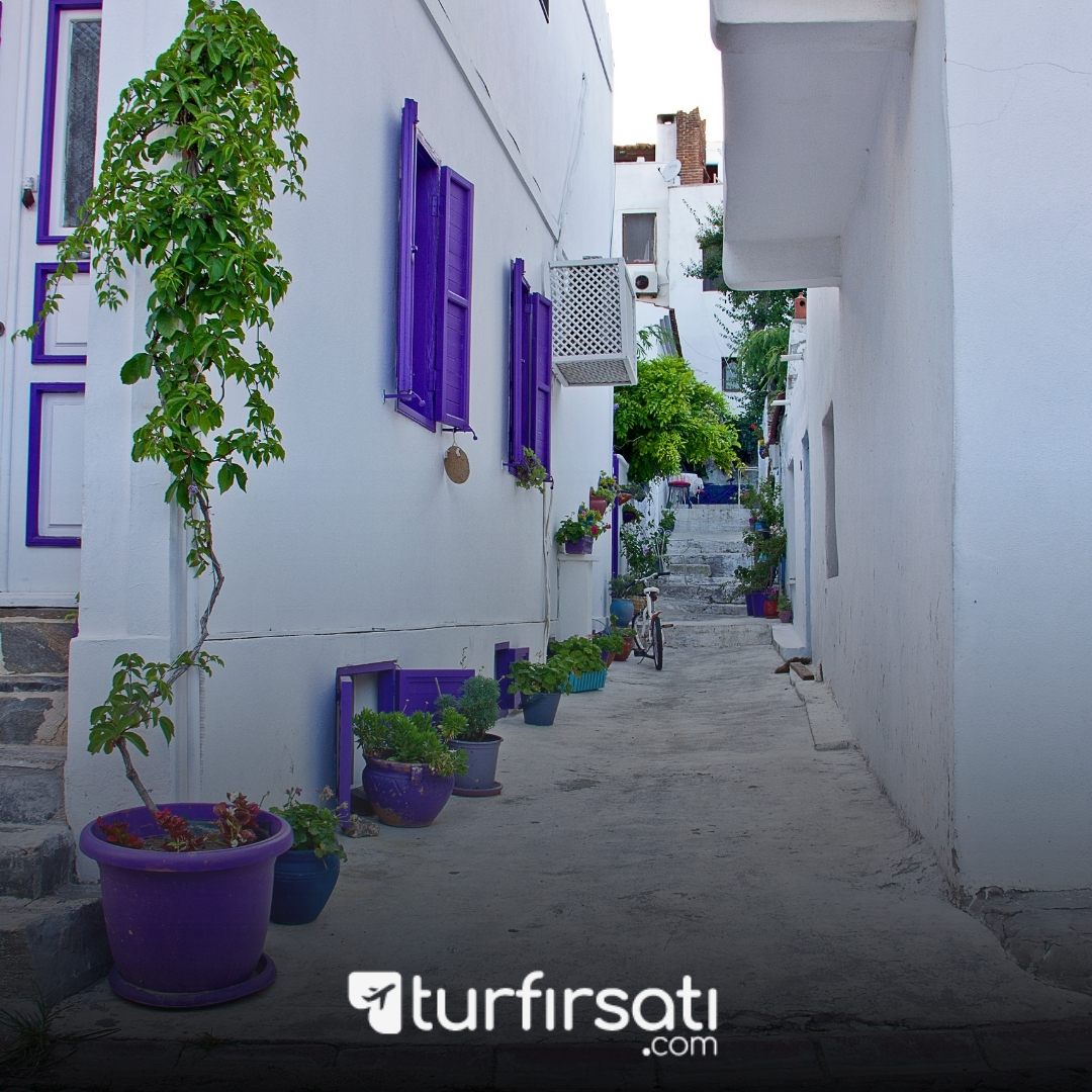 1 Mayıs Özel | Bozcaada Assos Ayvalık Cunda Turu | 1 Gece Otel Konaklamalı | İstanbul Hareketli