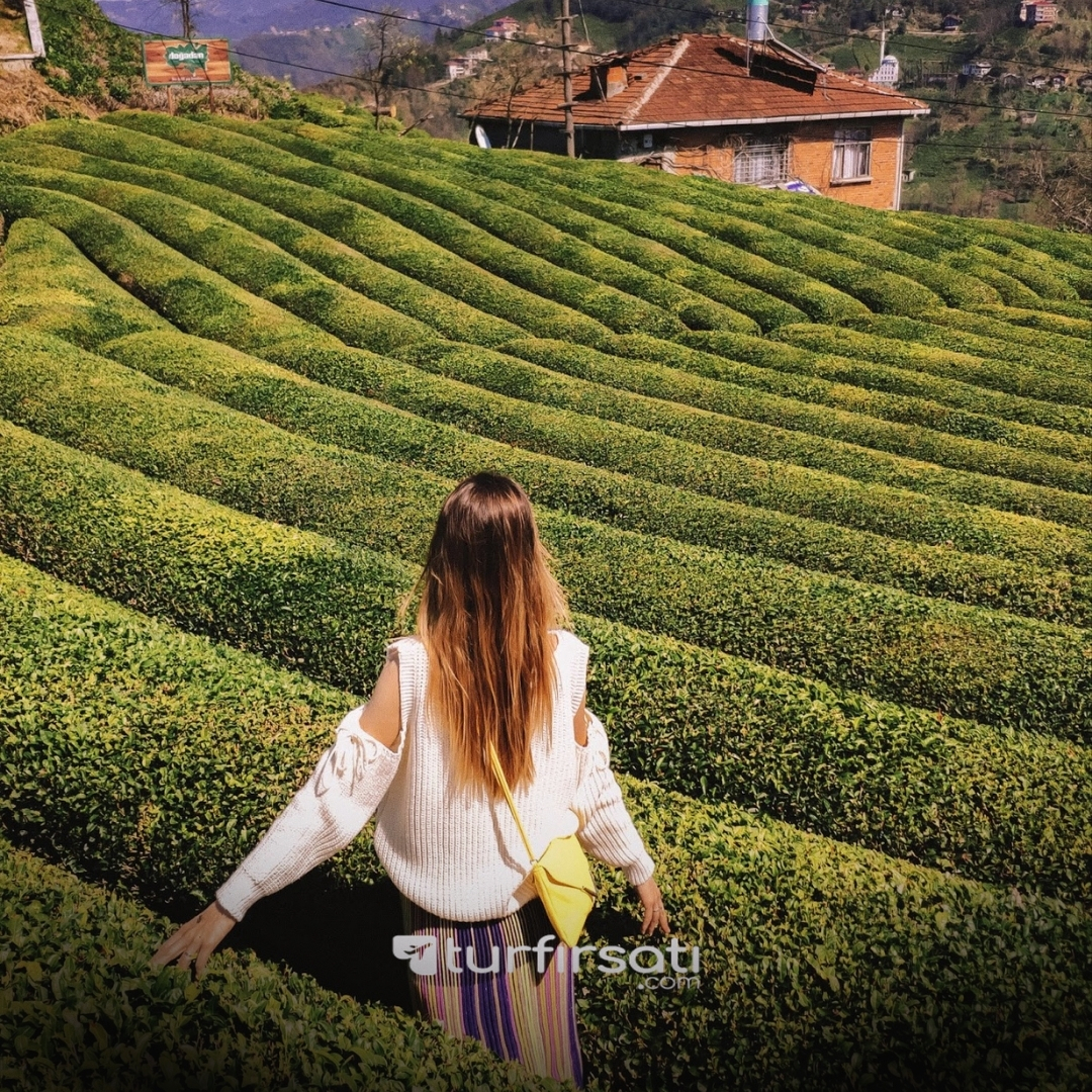 23 Nisan Özel |Uçaklı  Karadeniz Yaylalar Ve Batum Turu | 3 Gece Konaklamalı | İstanbul Hareketli 