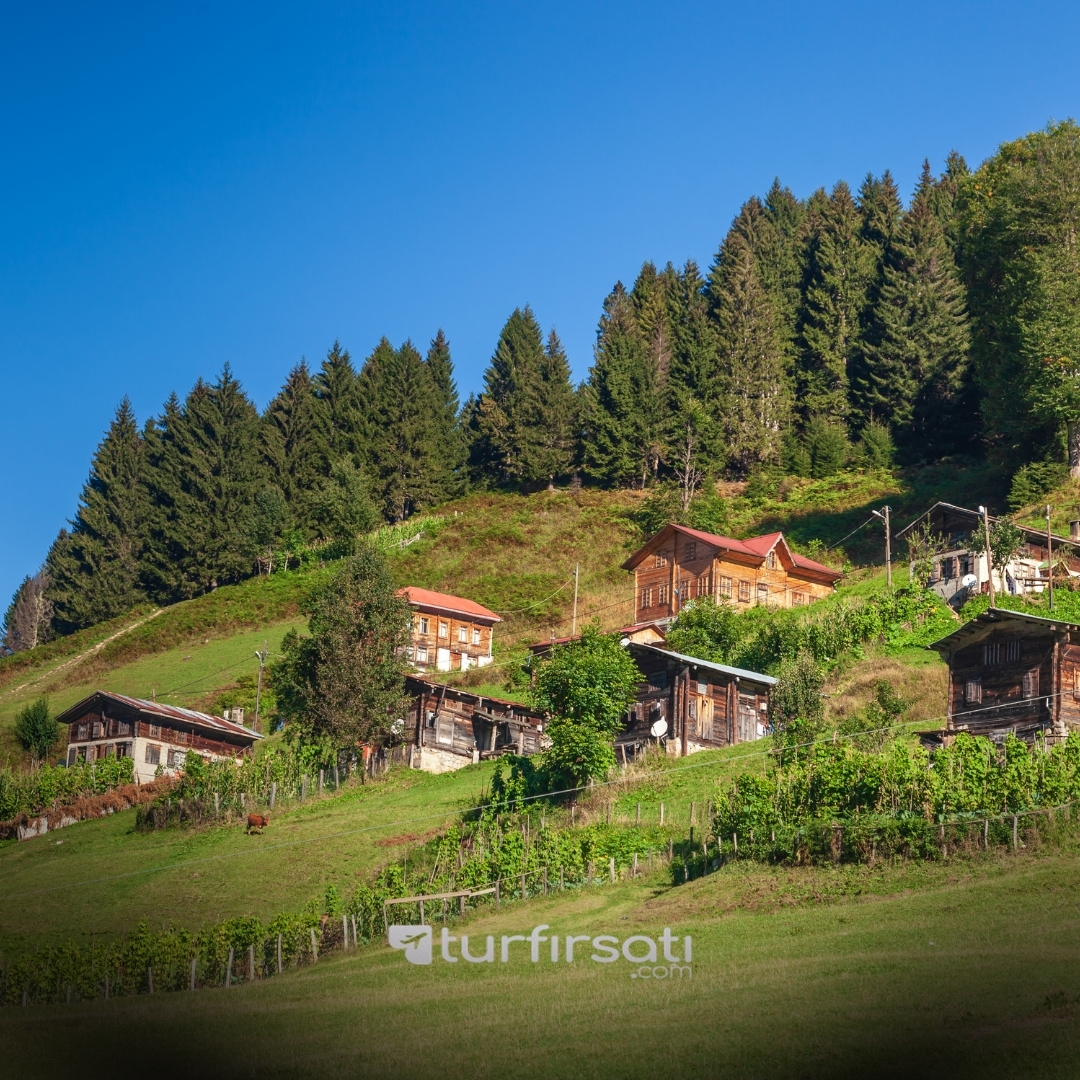 23 Nisan Özel | Karadeniz Yaylalar ve Batum Turu | 3 Gece Konaklamalı |İstanbul Hareketli 