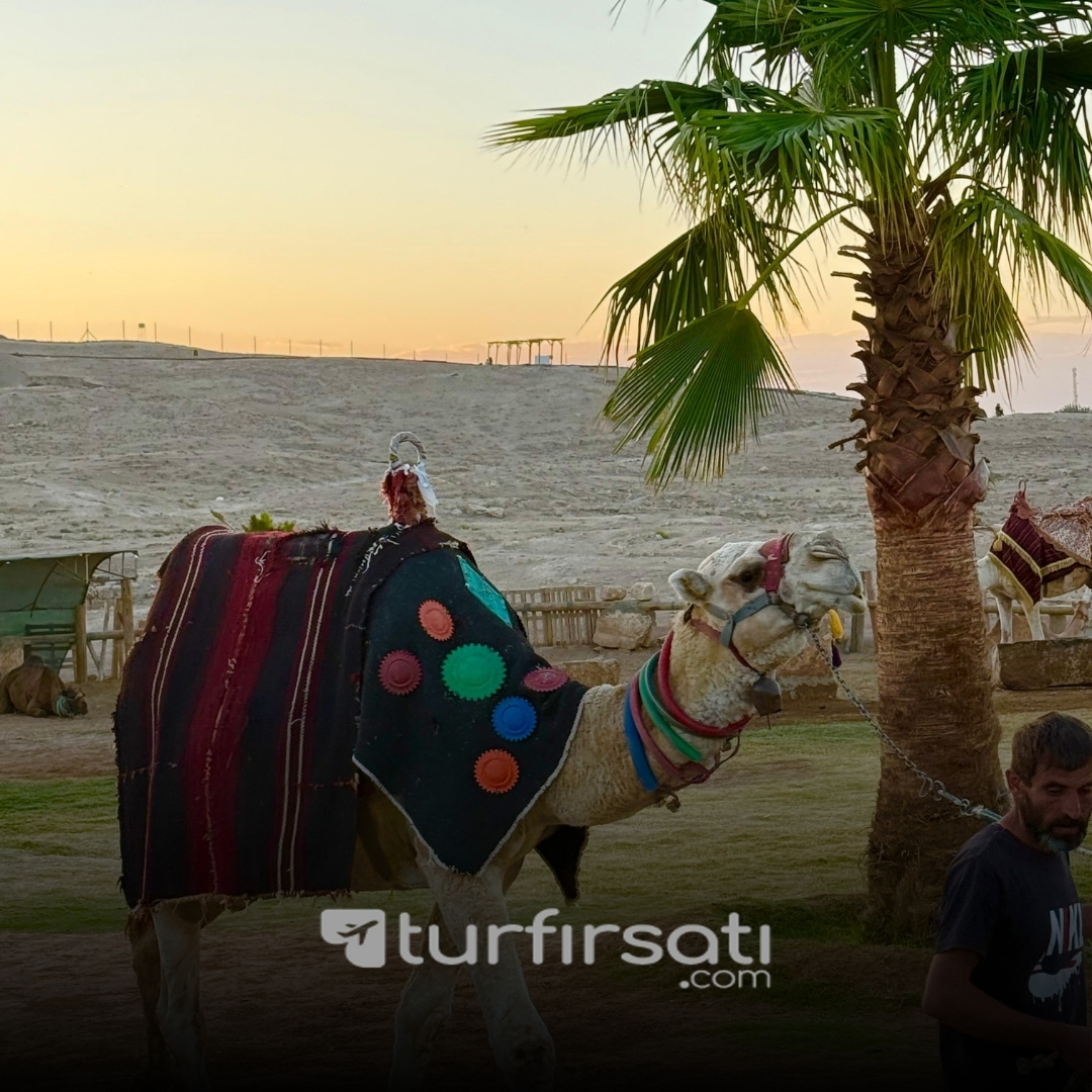 1 Mayıs Özel | Güneydoğu Anadolu Turu | 3 Gece Otel Konaklamalı | İstanbul, Kocaeli ve Sakarya Hareketli 