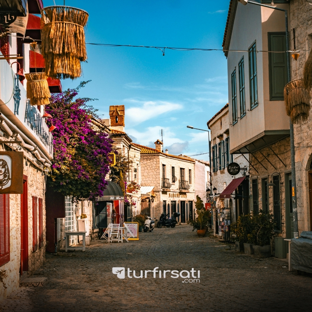 Urla Enginar Festivali | 2 Gece Konaklamalı  | İstanbul,Bursa Hareketli