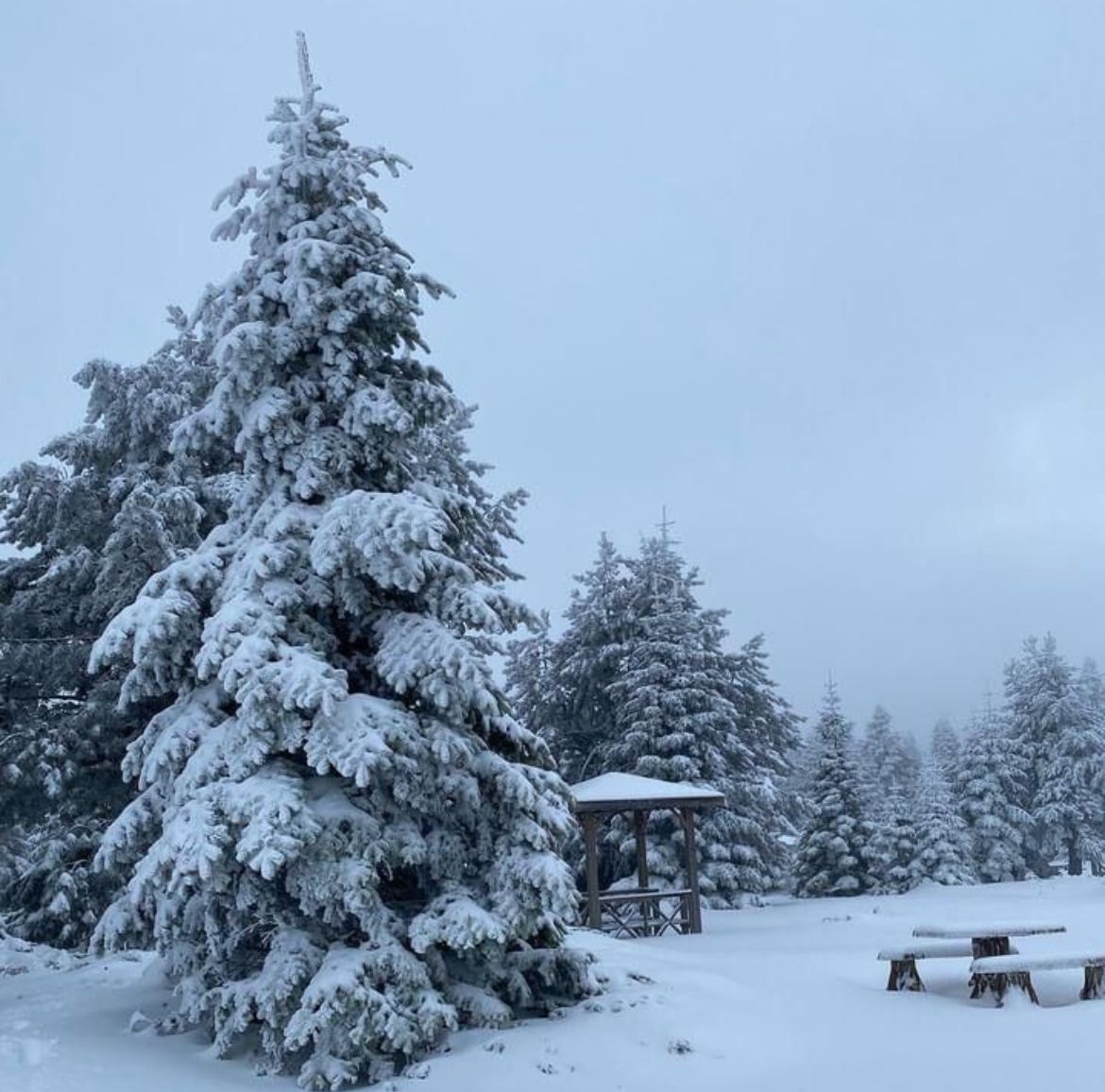 Uludağ Kayak Turu | 1 Gece Konaklamalı |İstanbul Hareketli 