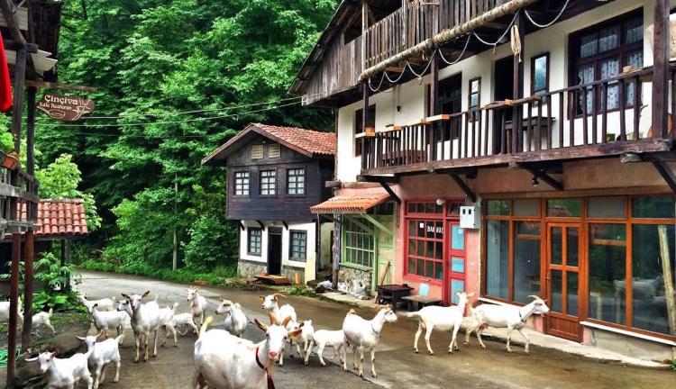 Uçaklı Bambaşka Batum Tiflis Kars Erzurum Doğu Ekspresi Turu | 3 Gece Otel Konaklamalı | Sabiha Gökçen Havalimanı Hareketli 