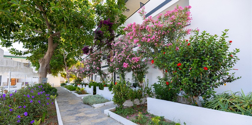 Luna Beach Hotel Bodrum  | 4 Gece Konaklamalı | İstanbul,İzmit,Bursa ve İzmir Hareketli