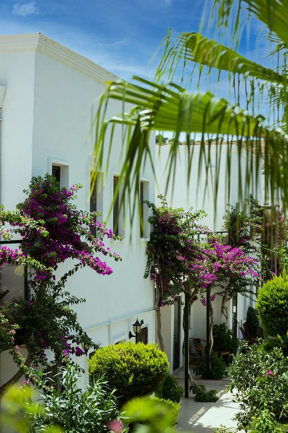 Anadolu Hotel Gümbet Bodrum |3 Gece Konaklamalı | İstanbul , İzmit, Bursa Ve İzmir Hareketli