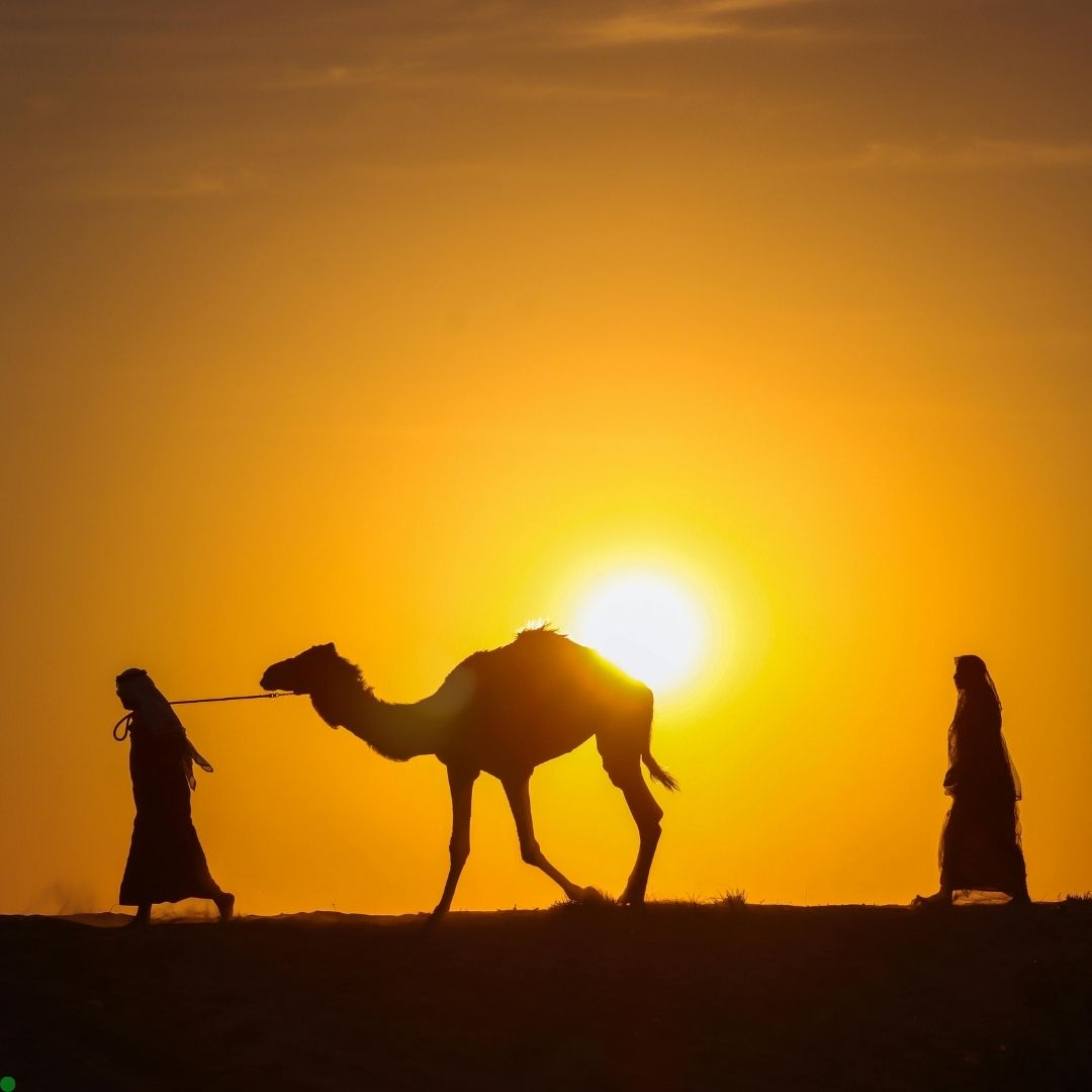 Dubai Turu Vize ve Turlar Dahil | 3 Gece Konaklamalı | İstanbul Kalkışlı | Ajet havayolları 