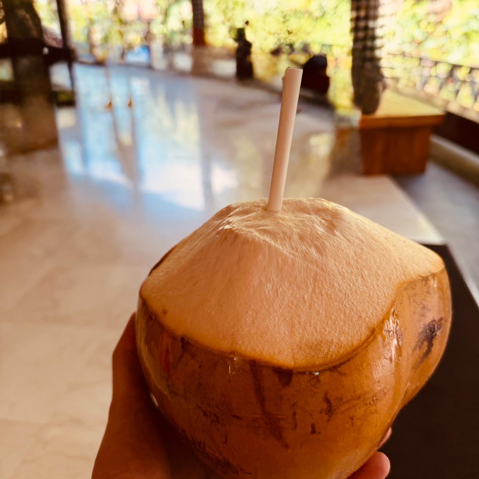 Thy ile Direkt Uzakdoğu Bali ve Singapur Turu 6 Gece Konaklamalı İstanbul Hareketli