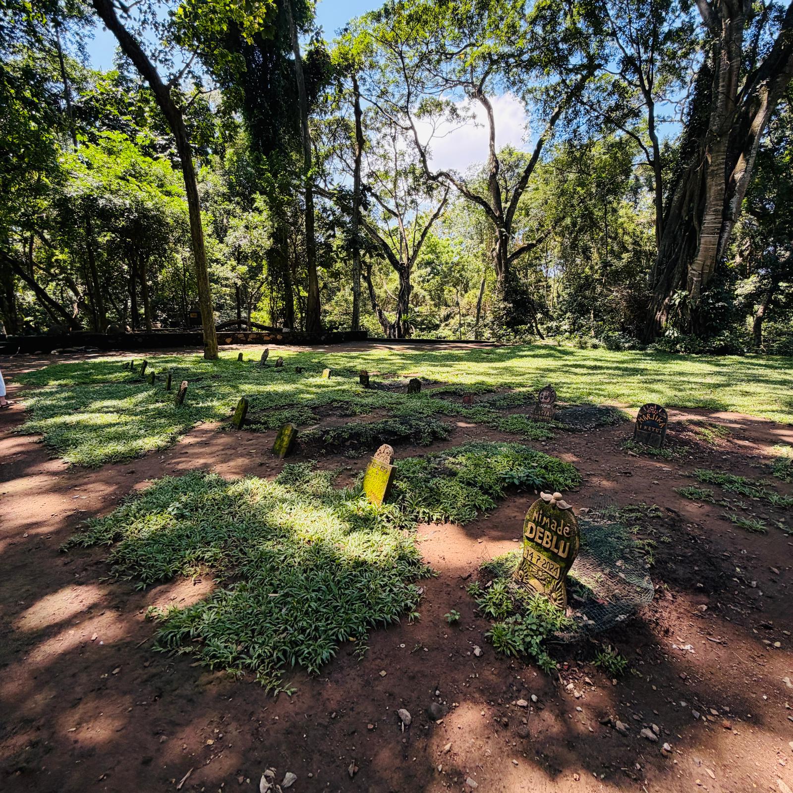 Thy ile Direkt Uzakdoğu Bali ve Singapur Turu 6 Gece Konaklamalı İstanbul Hareketli