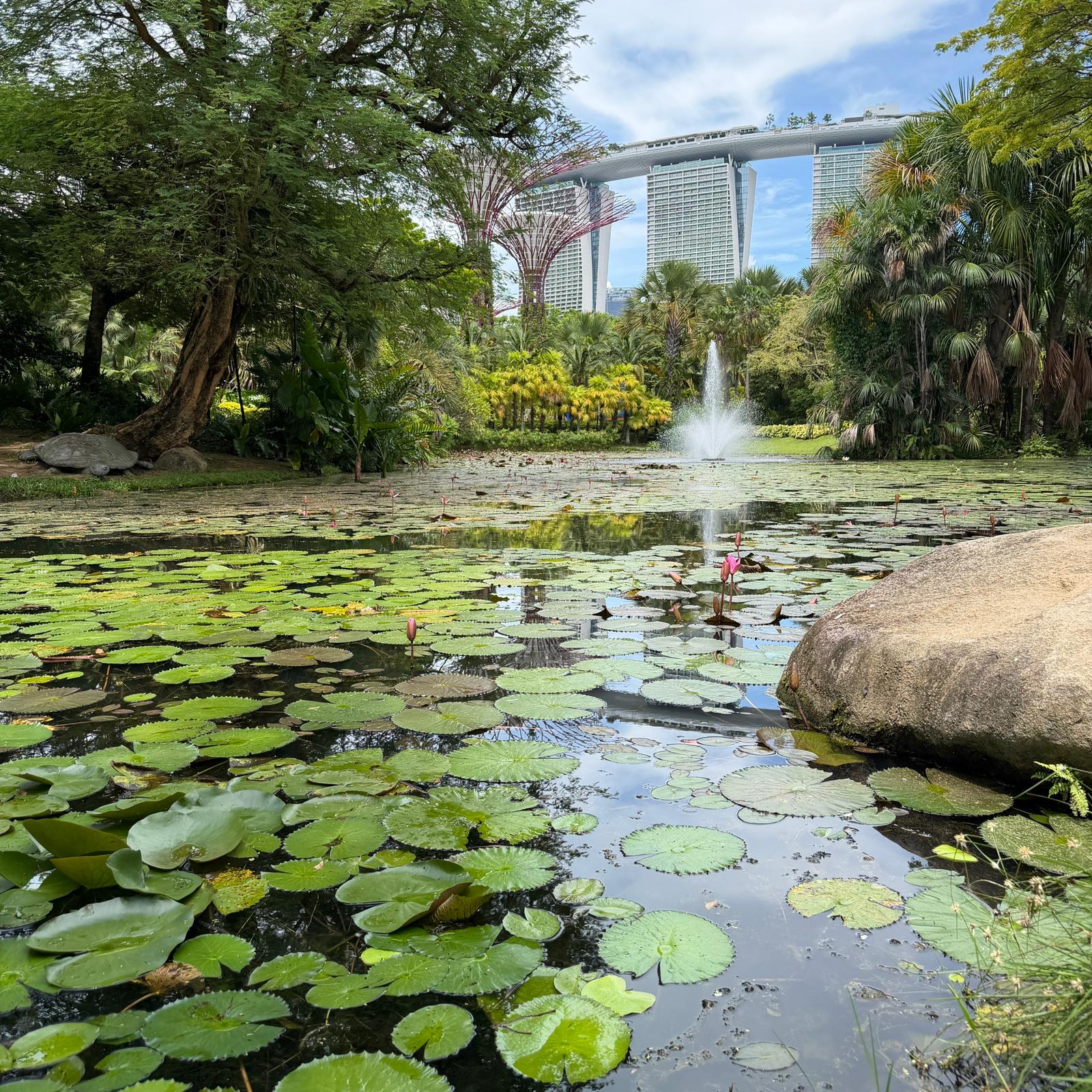 Thy ile Direkt Uzakdoğu Bali ve Singapur Turu 6 Gece Konaklamalı İstanbul Hareketli