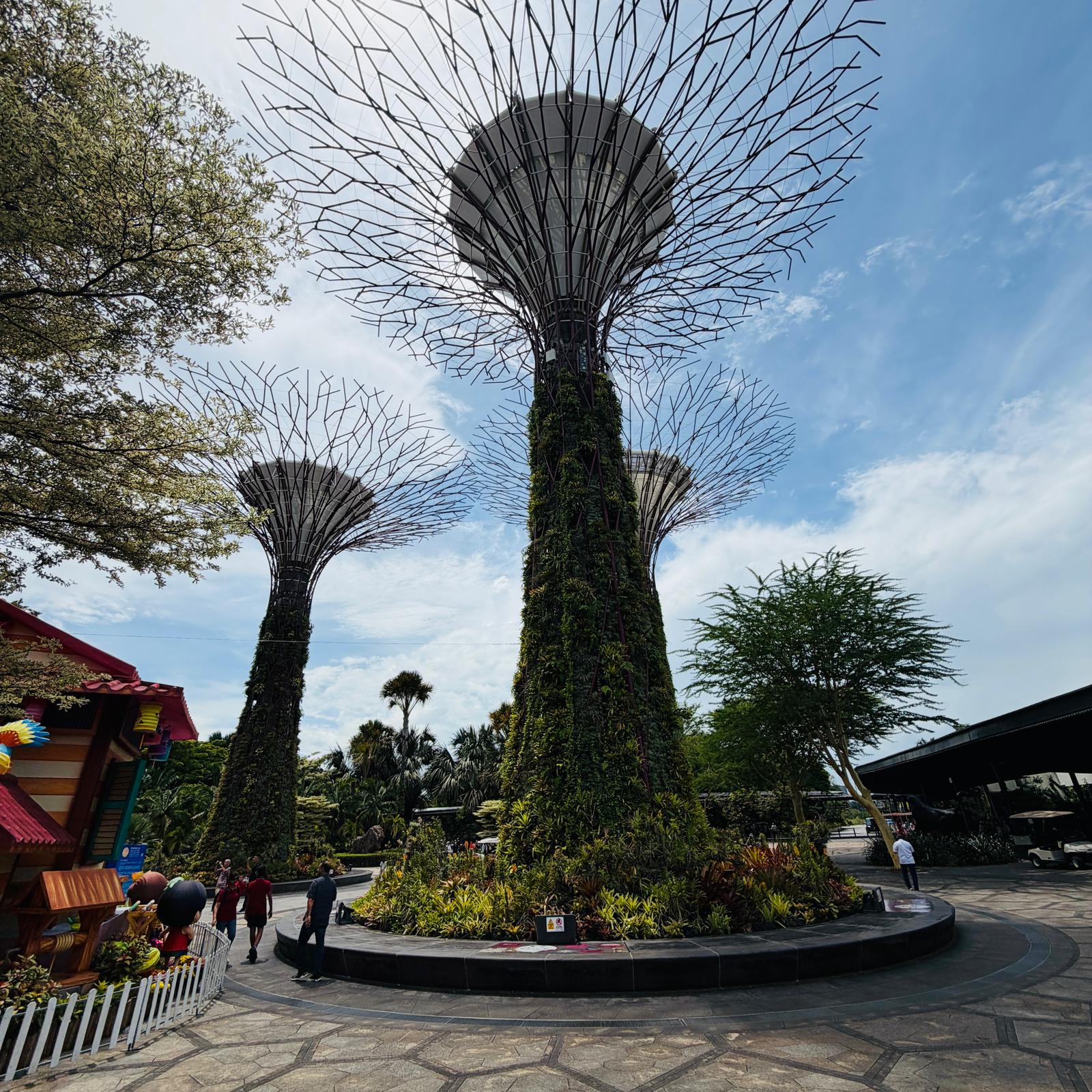 Thy ile Direkt Uzakdoğu Bali ve Singapur Turu 6 Gece Konaklamalı İstanbul Hareketli