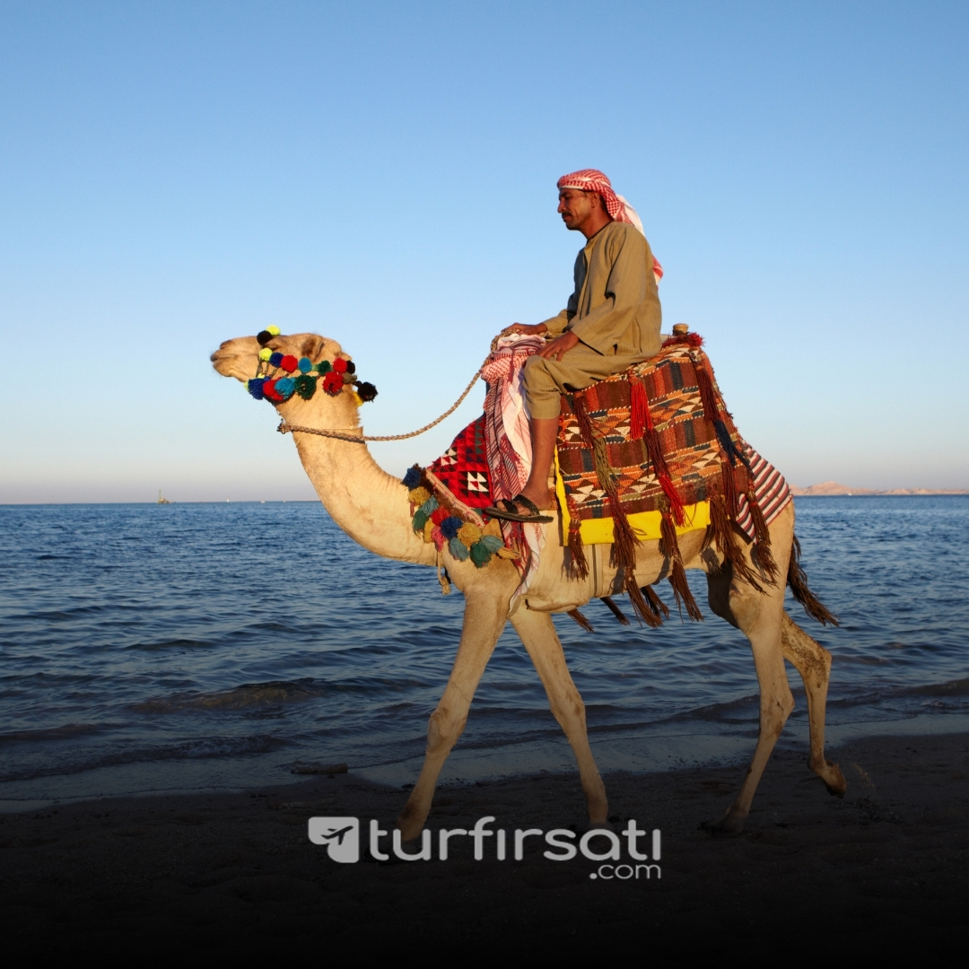 Kurban Bayramı Özel | Vizesiz Sharm El Sheikh Turu | 3 Gece Her Şey Dahil Otel Konaklamalı | İstanbul Kalkışlı