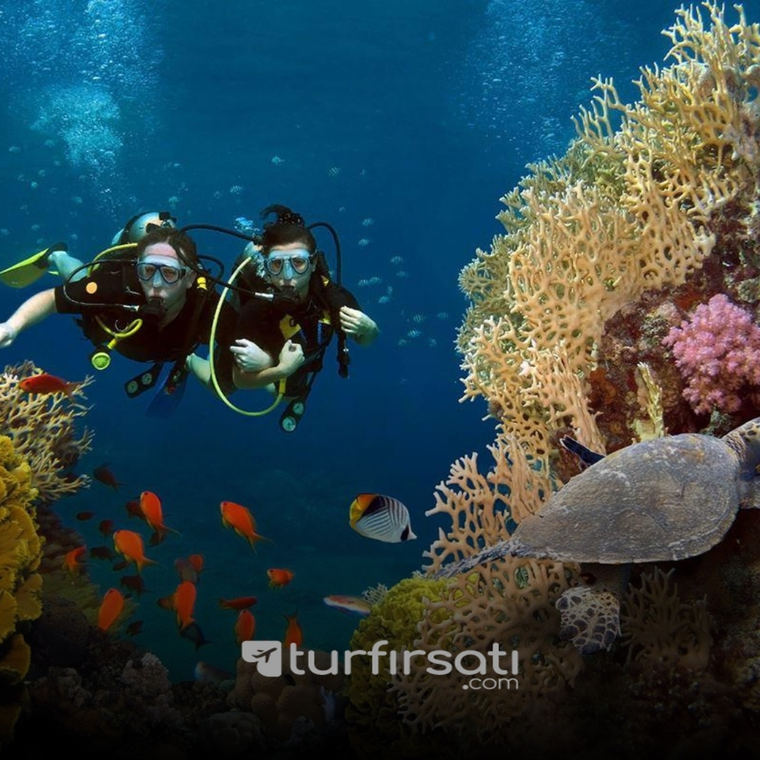 Kurban Bayramı Özel | Vizesiz Sharm El Sheikh Turu | 3 Gece Her Şey Dahil Otel Konaklamalı | İstanbul Kalkışlı