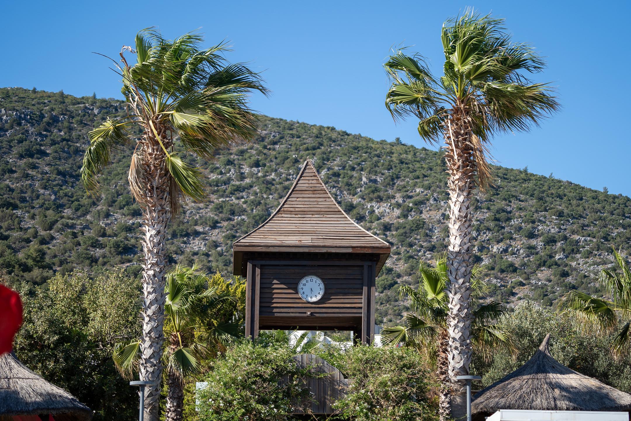 Latanya Park Resort Hotel Bodrum| 3 Gece Otel Konaklamalı | Her Şey Dahil Konsept | İstanbul, İzmit, Bursa ve İzmir Hareketli