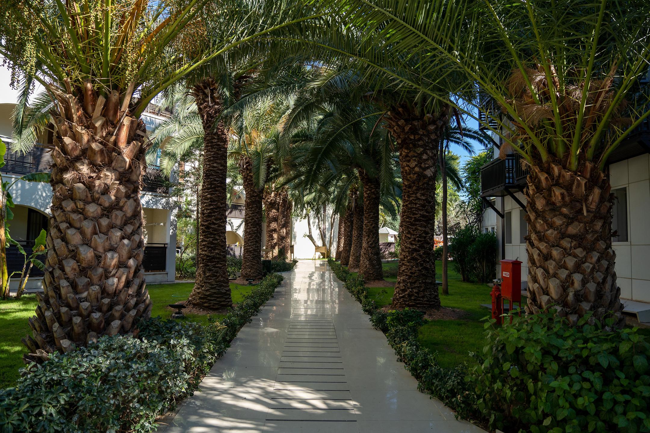 Latanya Park Resort Hotel Bodrum  4 Gece Otel Konaklamalı | Her Şey Dahil Konsept | İstanbul, İzmit, Bursa ve İzmir Hareketli