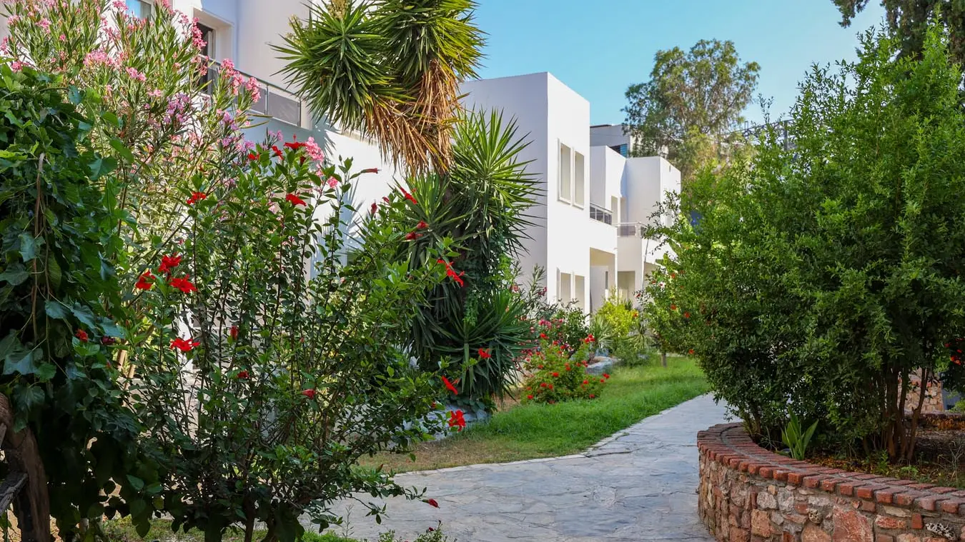 Leo Beach Resort +16 | 3 Gece Konaklamalı | İstanbul , İzmit, Bursa ve İzmir Hareketli