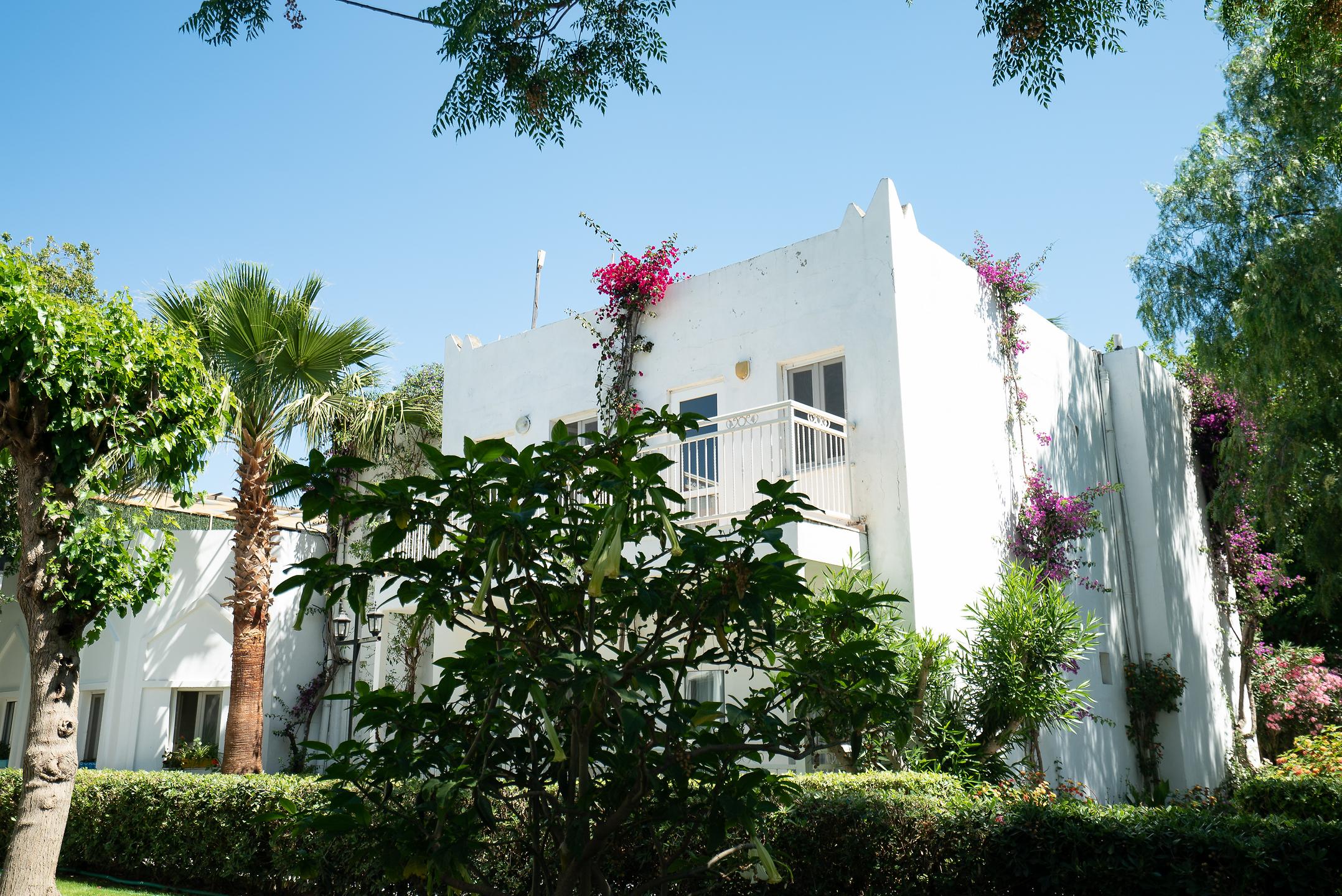 Petunya Beach Resort Hotel Bodrum | 4 Gece Konaklamalı | İstanbul,İzmit,Bursa,İzmir Hareketli