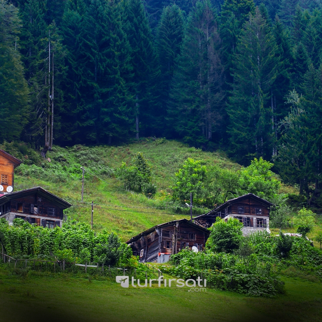 Kurban Bayramı Özel | Uçaklı Karadeniz Yaylaları ve Batum Turu | 3 Gece Otel Konaklamalı | İstanbul Hareketli