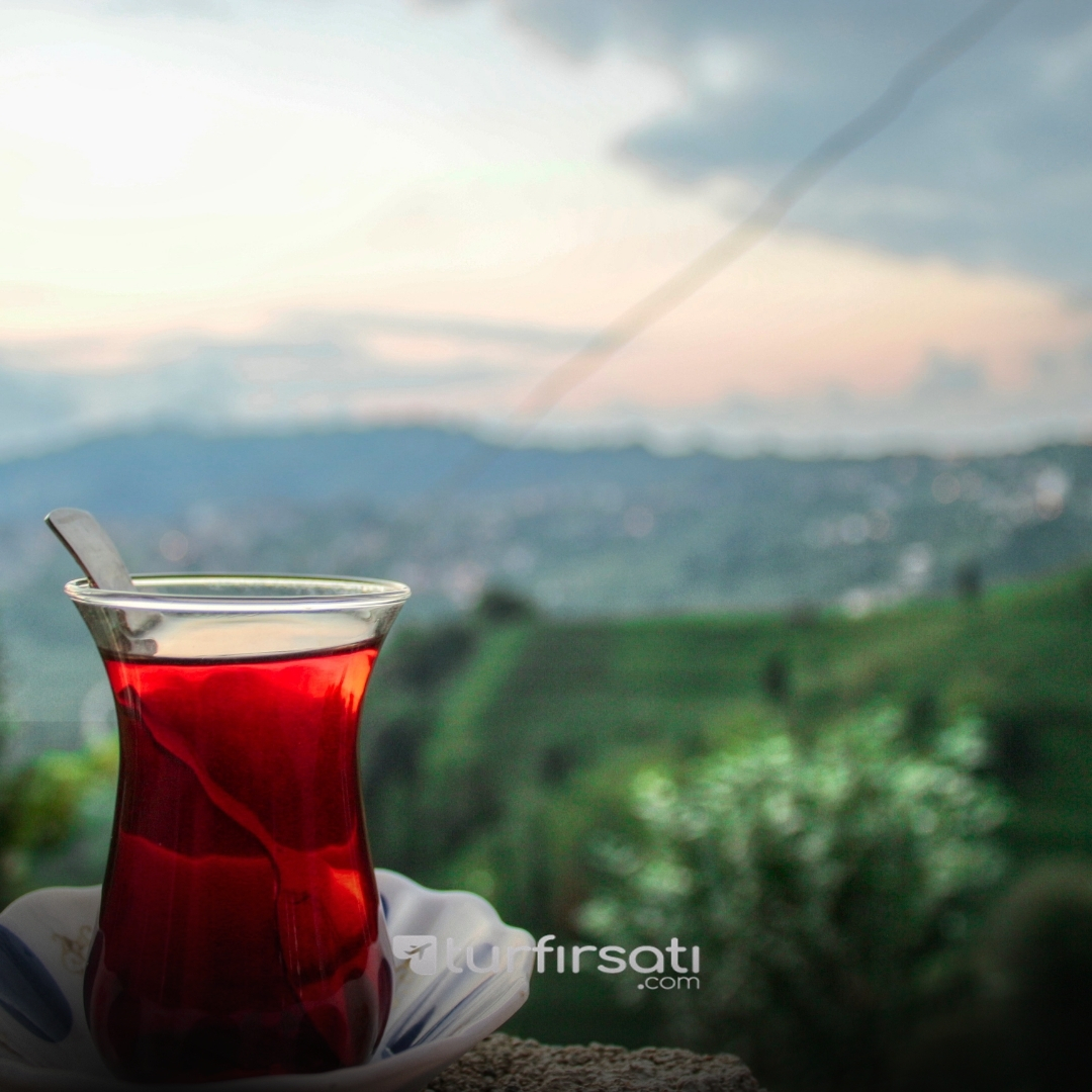Kurban Bayramı Özel | Uçaklı Karadeniz Yaylaları ve Batum Turu | 3 Gece Otel Konaklamalı | İstanbul Hareketli